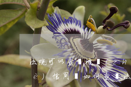 法院可以查詢被執(zhí)行的企業(yè)信用嗎(如何查詢法院被執(zhí)行人查詢)