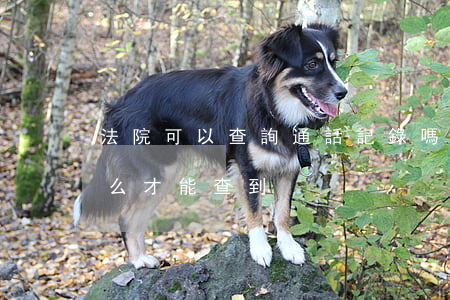 法院可以查詢通話記錄嗎(查別人通話記錄怎么才能查到)