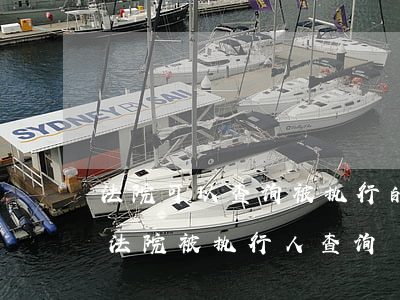 法院可以查询被执行的企业信用吗(如何查询法院被执行人查询)