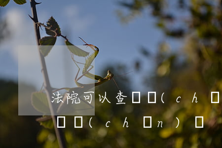 法院可以查資產(chǎn)嗎(法院可以查資產(chǎn)嗎)