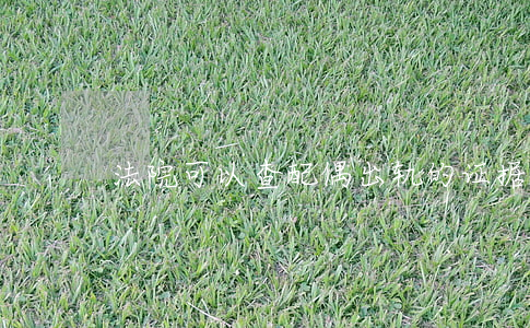 法院可以查配偶出轨的证据吗