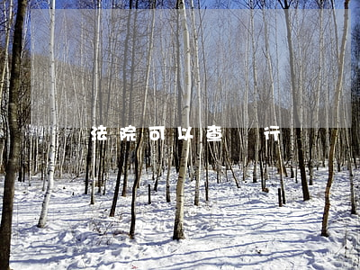 法院可以查銀行賬戶嗎(法院可以查銀行賬戶嗎)
