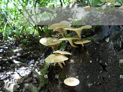 法院可以無(wú)限期凍結(jié)賬戶嗎(沒(méi)有任何通知,法院就可以凍結(jié)我的賬戶嗎)