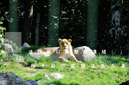 法院可以無限期凍結(jié)銀行卡嗎(銀行卡可以被司法永久凍結(jié)嗎)