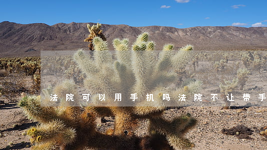 法院可以用手机吗(法院不让带手机合法吗)