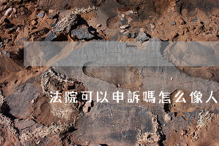 法院可以申訴嗎(怎么像人民法院提出申訴)