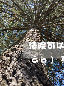 法院可以申請(qǐng)斷絕父關(guān)系嗎(可以起訴斷絕父子關(guān)系嗎)
