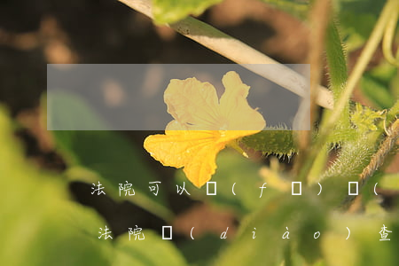 法院可以發(fā)調(diào)查令嗎(法院調(diào)查令可以開給當(dāng)事人嗎)