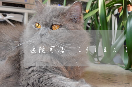 法院可以監(jiān)控余額嗎