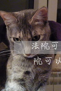 法院可以直接凍結(jié)個人帳戶嗎(法院可以凍結(jié)個人所有賬戶嗎)