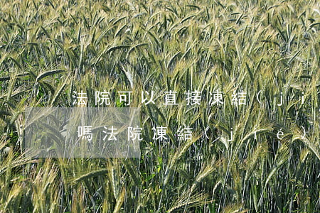 法院可以直接凍結(jié)公司賬戶資金嗎(法院凍結(jié)單位賬戶部分資金是否有期限)