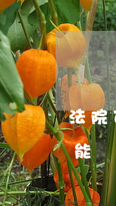 法院可以直接凍結(jié)嗎(法院受理就能凍結(jié)資產(chǎn))