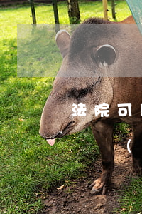 法院可以直接凍結(jié)銀行卡嗎(法院凍結(jié)銀行卡是自動(dòng)凍結(jié)的嗎)