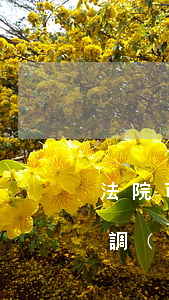 法院可以直接出調(diào)解書嗎(出具調(diào)解書后還能起訴)