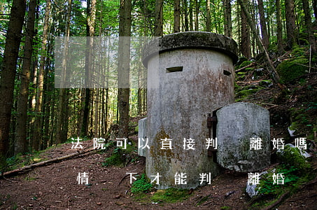 法院可以直接判決離婚嗎(法院起訴 離婚,什么情況下 才能判決離婚?)