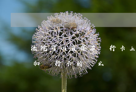 法院可以直接在銀行卡上扣款嗎(法院可以劃扣銀行卡的錢么)
