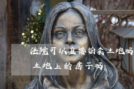 法院可以直接拍卖土地吗(法院可以拍卖集体土地上的房子吗?)