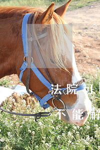 法院可以直接解凍嗎(司法凍結(jié)能不能解開)