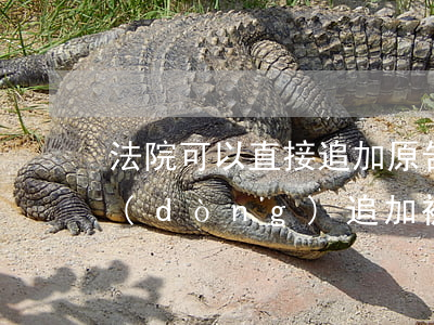 法院可以直接追加原告嗎(法院是否可以主動(dòng)追加被告)