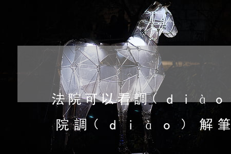 法院可以看調(diào)解筆錄嗎(人民法院調(diào)解筆錄模板)