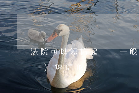 法院可以短信起訴嗎(一般法院起訴會發(fā)短信的嗎)