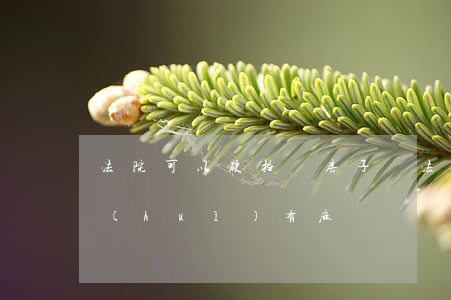 法院可以硬拍賣房子嗎(法院拍賣房能買嗎?會(huì)有麻煩嗎)