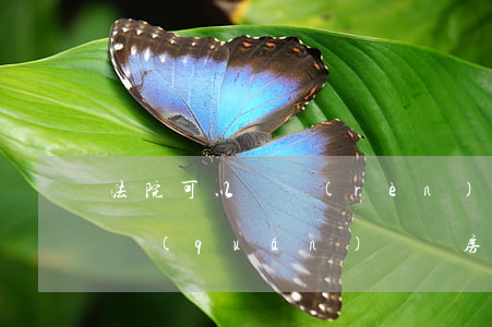 法院可以確認(rèn)房產(chǎn)權(quán)屬嗎(房產(chǎn)可以通過法院判定歸屬嗎)
