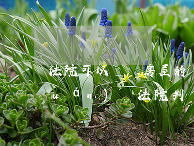 法院可以確認房屋的產(chǎn)權(quán)嗎(法院判決房屋產(chǎn)權(quán)歸屬的標準)