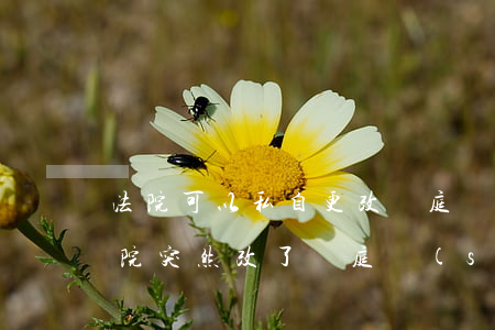 法院可以私自更改開庭時(shí)間嗎(法院突然改了開庭時(shí)間是什么原因)