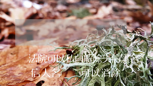 法院可以私自解除失信黑名單嗎(如果列入失信人名單,還可以消除嗎)