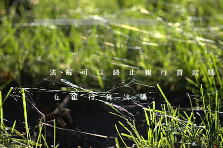 法院可以終止銀行貸款嗎(被法院起訴了還能在銀行貸款嗎)