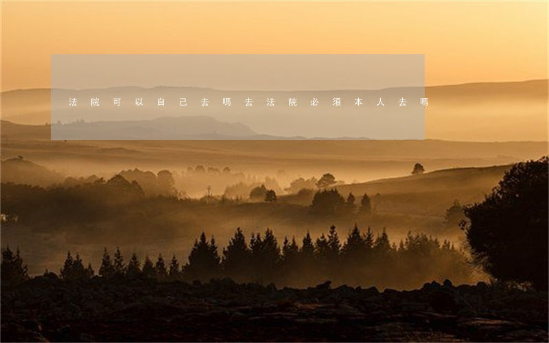 法院可以自己去嗎(去法院必須本人去嗎)