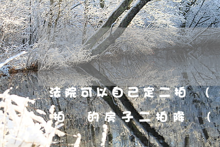 法院可以自己定二拍價(jià)格嗎(法院拍賣的房子二拍降價(jià)多少)