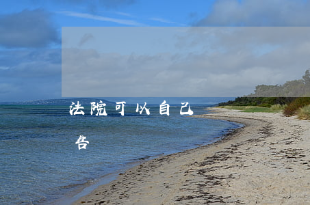 法院可以自己舉證嗎(舉證是原告舉證還是被告舉證)