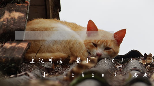 法院可以處置小產(chǎn)權房嗎(法院對小產(chǎn)權房是否能夠執(zhí)行)