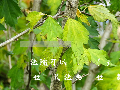 法院可以處罰機(jī)關(guān)單位嗎(民法典單位罰款)
