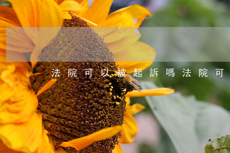 法院可以被起訴嗎(法院可以作為被告起訴嗎)