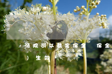 法院可以裁定保全嗎(保全裁定何時(shí)生效)