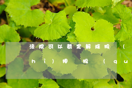 法院可以裁定解除股權(quán)質(zhì)押嗎(股權(quán)被凍結(jié)后還能質(zhì)押嗎)