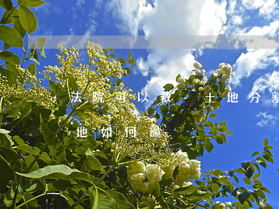 法院可以裁決土地分割嗎(法院拍賣的劃撥土地如何過戶)