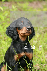 法院可以解凍后立刻再凍結(jié)嗎