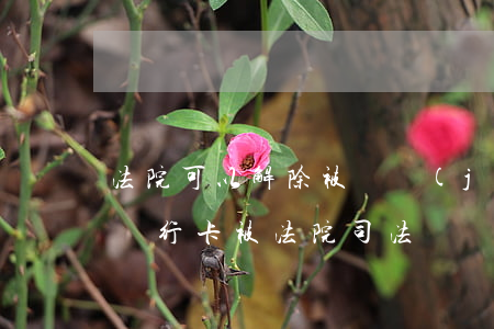 法院可以解除被凍結(jié)的銀行卡嗎(銀行卡被法院司法凍結(jié)怎么處理)
