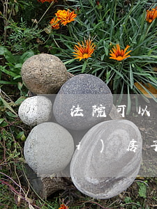 法院可以訴行執(zhí)糾紛拍賣(mài)房子嗎(法院強(qiáng)制執(zhí)行拍賣(mài)的房子一般賣(mài)多少錢(qián)?)