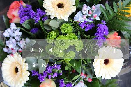 法院可以評(píng)估二次拍賣程序嗎(法院的評(píng)估報(bào)告下來多久可以拍賣)