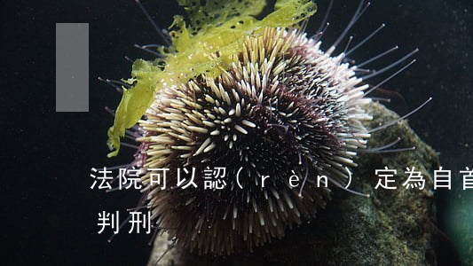法院可以認(rèn)定為自首嗎(自首怎么判刑)