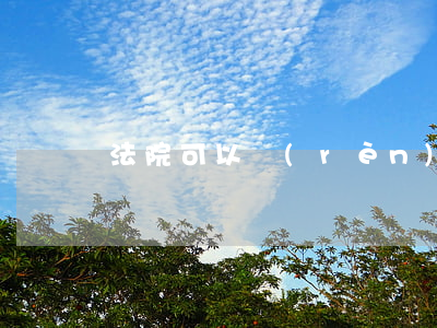 法院可以認(rèn)定肇事逃逸嗎