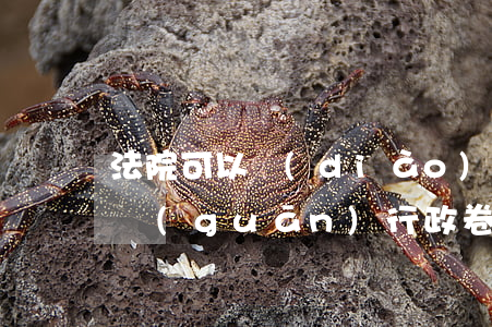 法院可以調(diào)取公安機(jī)關(guān)行政卷宗嗎(律師調(diào)取公安機(jī)關(guān)案卷的程序)
