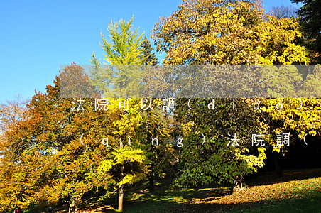 法院可以調(diào)取身份信息嗎(申請(qǐng)法院調(diào)取被告身份證信息的依據(jù))