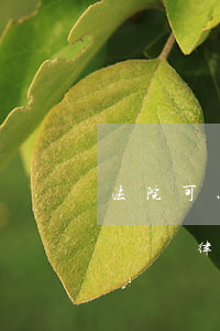 法院可以調(diào)取醫(yī)院病歷嗎(律師能去醫(yī)院調(diào)取病歷資料)