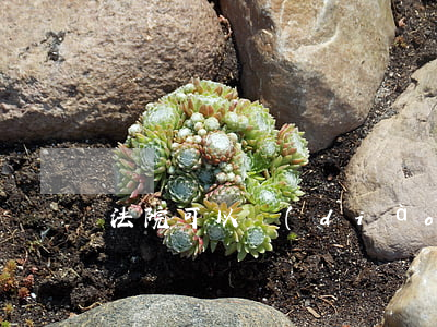 法院可以調(diào)庭審筆錄嗎